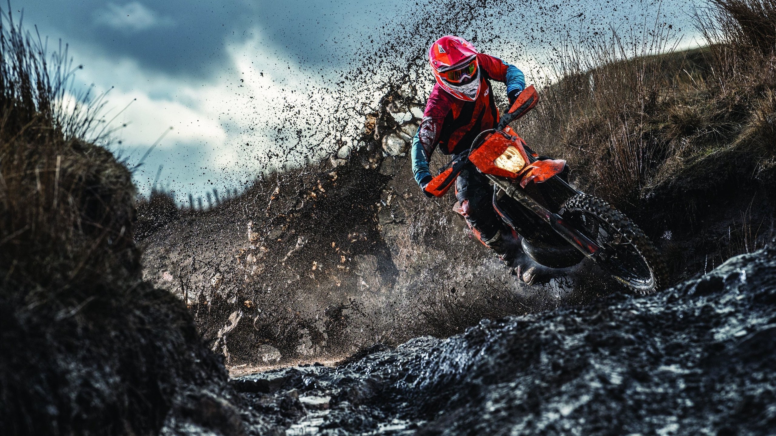 东决关键战之夜，帕尔默高光表现改写历史